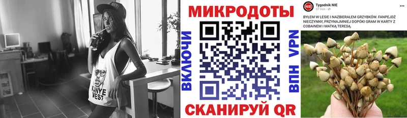 Галлюциногенные грибы Psilocybine cubensis купить наркотики цена Хвалынск